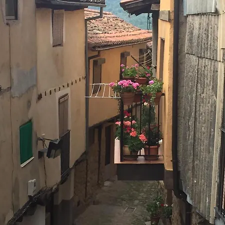 Al-vivaque * 미란다 델 카스타냐르